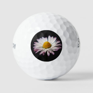 Balles De Golf Daisy commun ssf gbcna