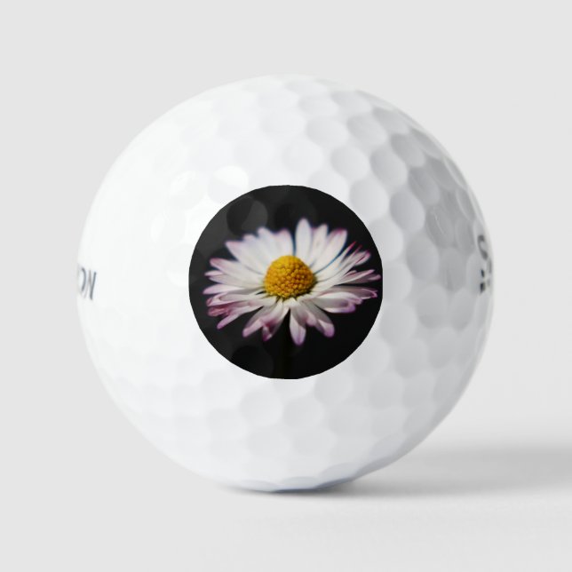 Balles De Golf Daisy commun ssf gbcna (Recto)