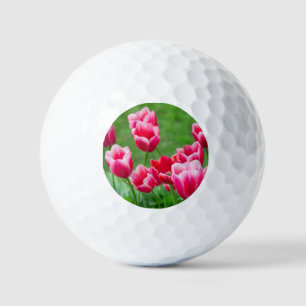 Balles De Golf De mignonnes tulipes écarlate dans le jardin