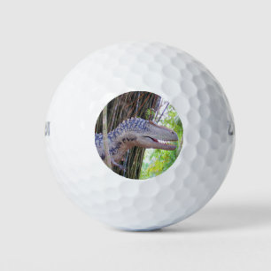 Balles De Golf Dinosaur Amusant - Daspletosaur Golf Balls