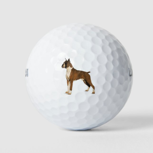 Balles De Golf Directeur de la boîte (Devant)