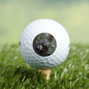 Balles De Golf Double difficulté dans la canopée : Sommes jumelle