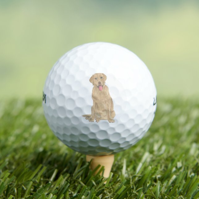 Balles De Golf Dudley Labrador (T-shirt Insitu)