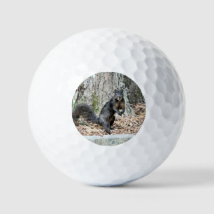 Balles De Golf Écureuil