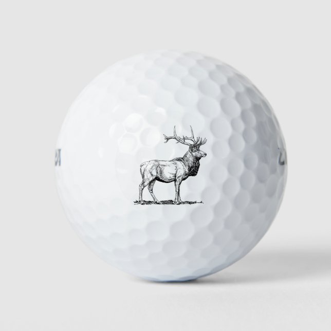 Balles De Golf Elk Moose Deer Head Chasse aux animaux Antlers (Devant)