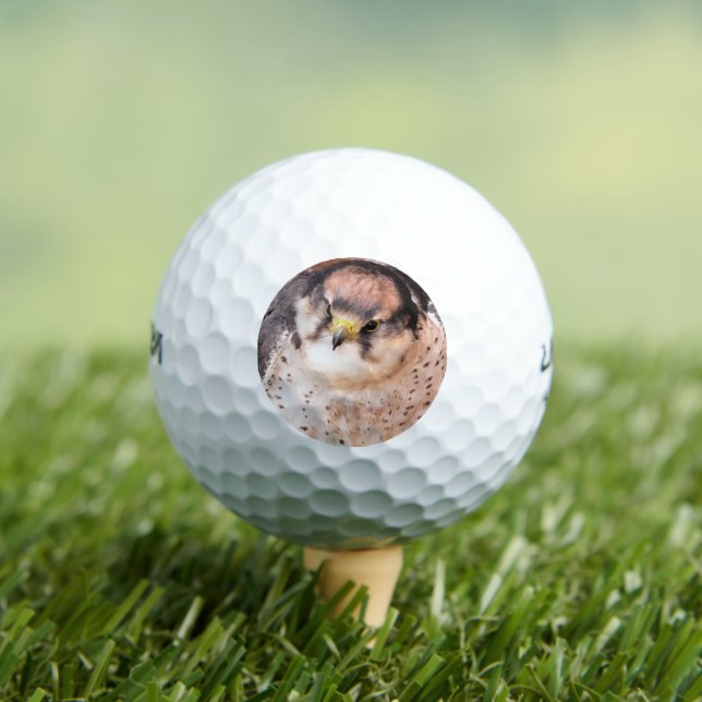 BALLES DE GOLF FALCON BIRD DE PREY (T-shirt Insitu)