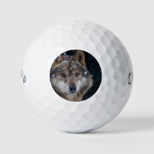 Balles De Golf Faune Loup-loup-loup sauvage