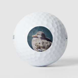 Balles De Golf Femme artistique Mallard Duck Relax Blue Water