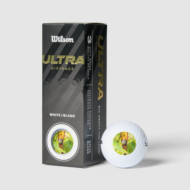 Balles De Golf fixation calme (Emballage)