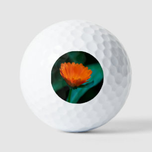 Balles De Golf Fleur de marguerite orange
