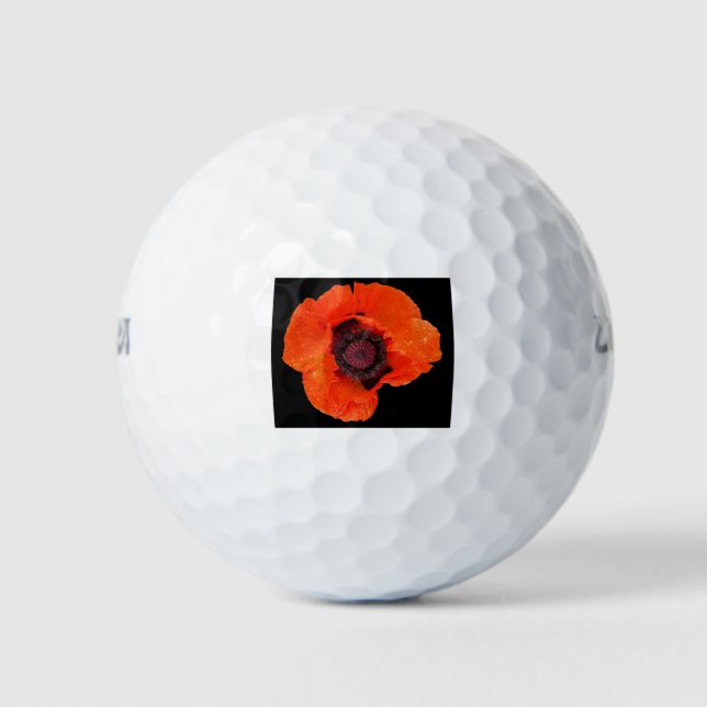 Balles De Golf fleur de pavot après la pluie (Devant)