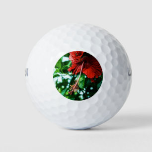 Balles De Golf Fleur d'Hibiscus rouge