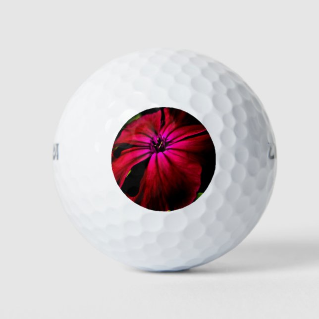 Balles De Golf Fleur sauvage violette wu gbcnm (Devant)