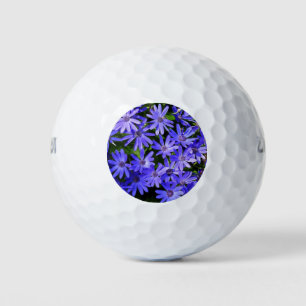 Balles De Golf Fleurs bleues à la marguerite Nature Photographie