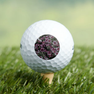 BALLES DE GOLF FLEURS DE DIANTHUS ROSE