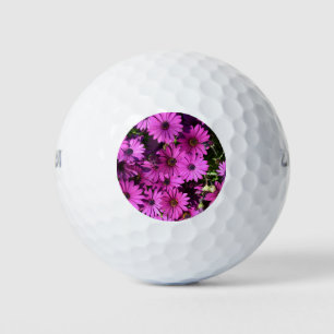 Balles De Golf Fleurs d'ostéospermum pourpres