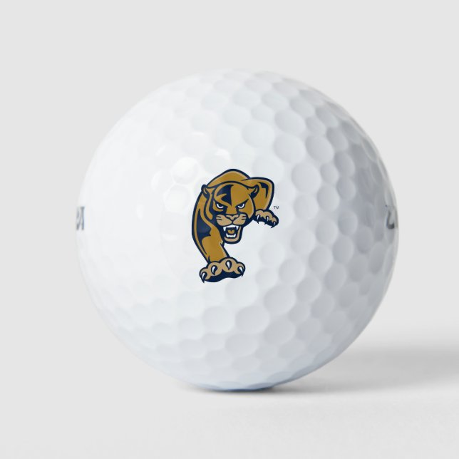 Balles De Golf Florida International University Panthers (Devant)