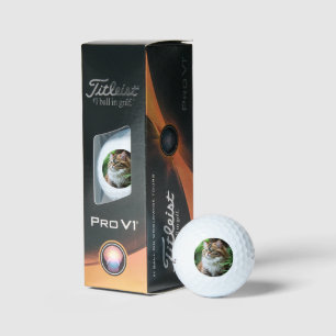Balles De Golf "Fluff and Cuddles : The Chubby Persian Cat"