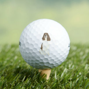 Balles De Golf Foie et blanc Springer anglais espagnol