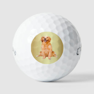Balles De Golf Golden Retriever Sitting - Design adorable