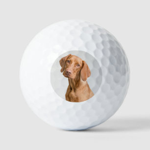 Balles De Golf Golf Photo Chien Personnalisé