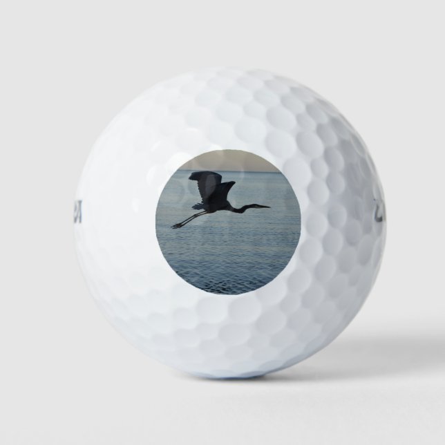Balles De Golf Grand Héron Bleu à Naples, FL (Devant)