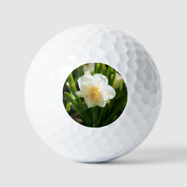 Balles De Golf Grandes jonquilles blanches un jour de printemps  (Recto)