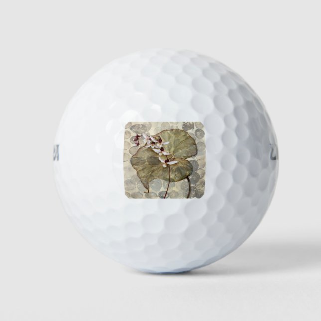 Balles De Golf HAZ24 Amazonia 2.tif (Devant)
