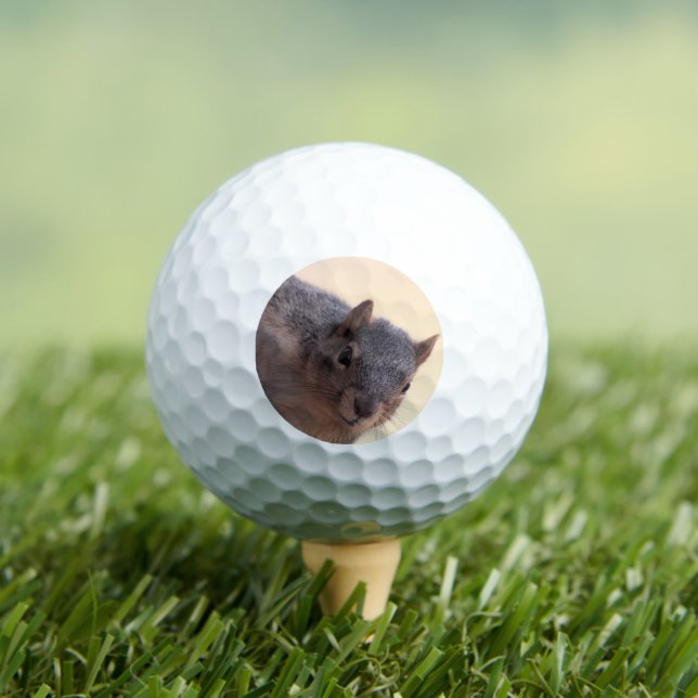 Balles De Golf Hé, là (T-shirt Insitu)
