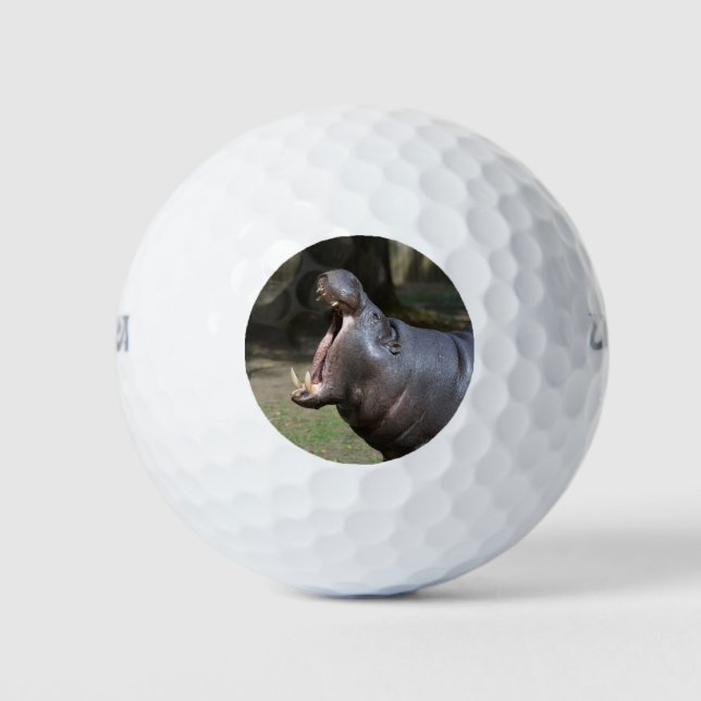 Balles De Golf Hippo (Devant)