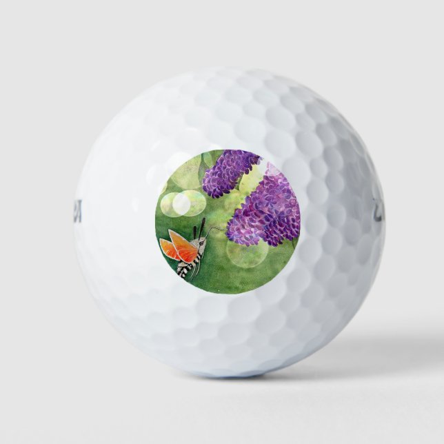 Balles De Golf Hummingbird Hawk Moth and Lilacs (Devant)