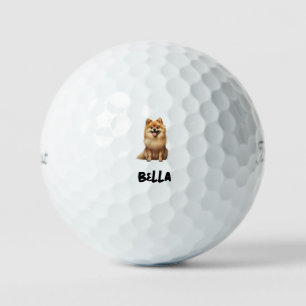 Balles De Golf Image de compagnie personnalisée Titre Titleist Pr