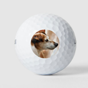 BALLES DE GOLF JACK RUSSELL TERRIER CHIEN