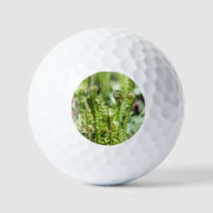 Balles De Golf Jeune fougère s'éveillant dans le jardin 