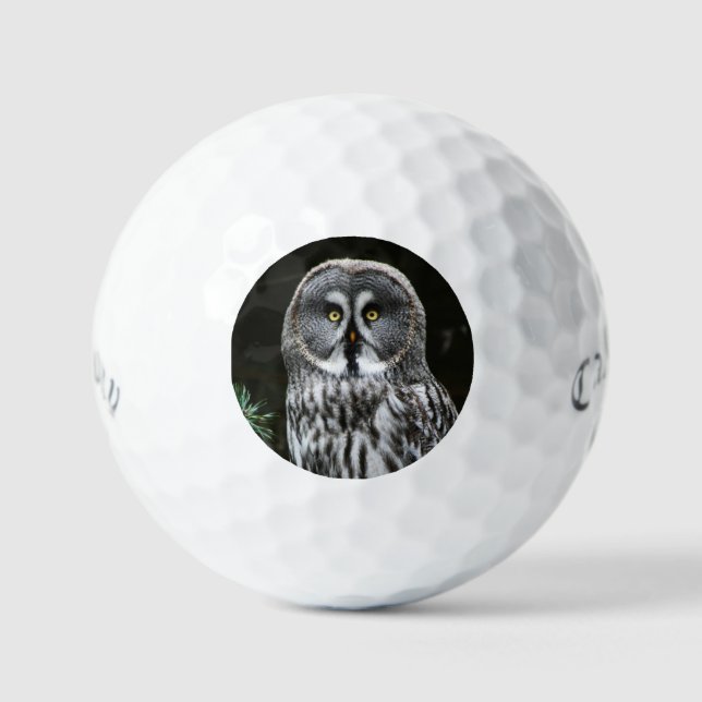 Balles De Golf La grande chouette grise css gbcnm (Recto)