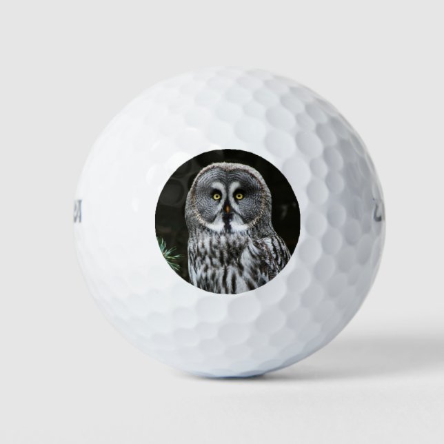 Balles De Golf La grande chouette grise wu gbcna (Devant)