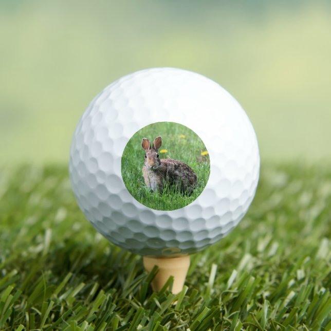 Balles De Golf Lapin (T-shirt Insitu)