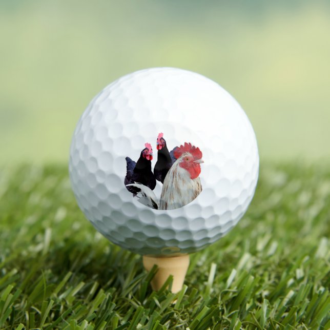 Balles De Golf "Le coq blanc et ses poules noires" (T-shirt Insitu)