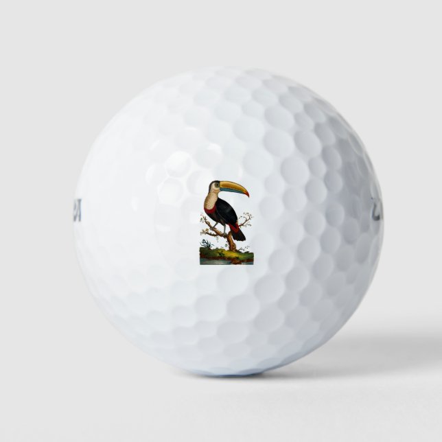 Balles De Golf Linnaeus Birds - Toucan (Devant)