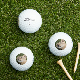 Balles De Golf Lion 022