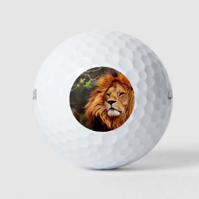 Balles De Golf Lion, Roi de la Jungle (Devant)