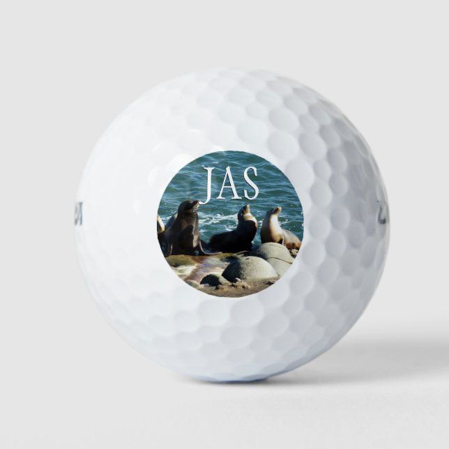 Balles De Golf Lions de la mer de San Diego (Devant)