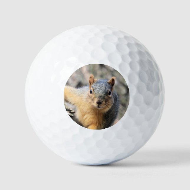Balles De Golf M. Cutie (Recto)
