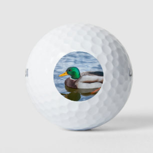 Balles De Golf Mallard Duck