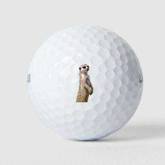 Balles De Golf Meerkat - Style Pop Art & Posterisé