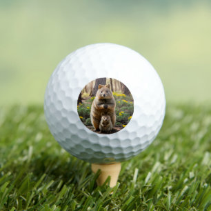 Balles De Golf Mère Et Bébé Quokka, Boules De Golf