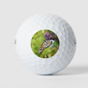 Balles De Golf Monarque sur Buddleia