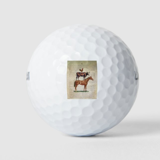 Balles De Golf NOB12 Farm Stand C1.tif (Devant)