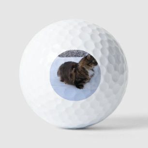 Balles De Golf norwegian forest cat in snow