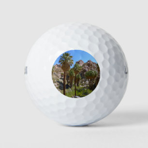 Balles De Golf Oasis Lost Palms I dans le Parc national de Joshua